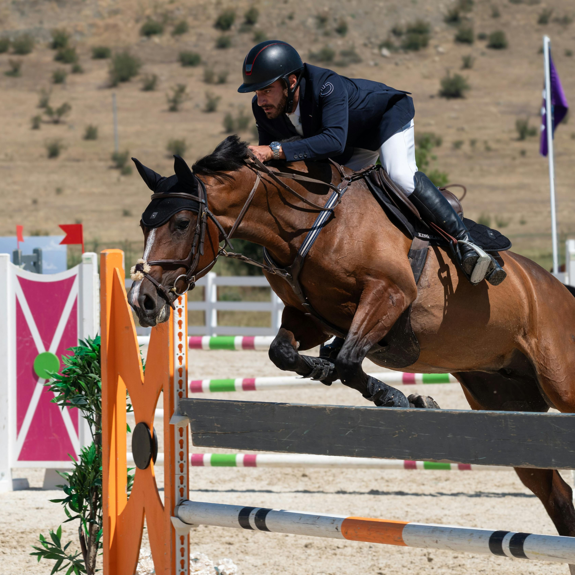 Suplementación Equina