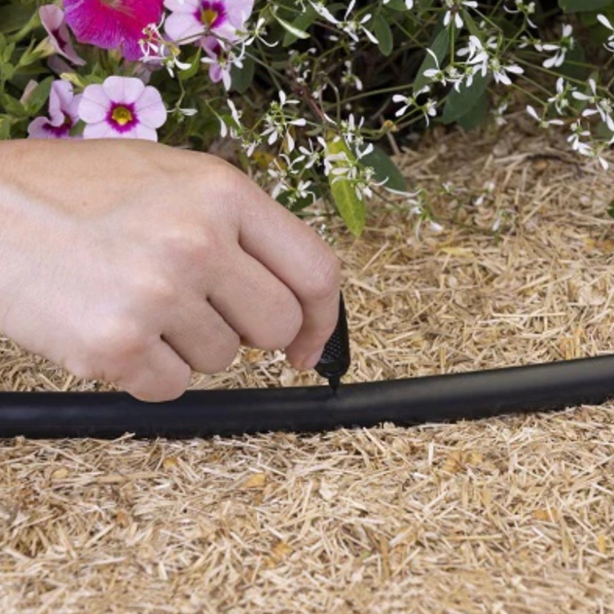 PUNZÓN GOTERO PLASTICO