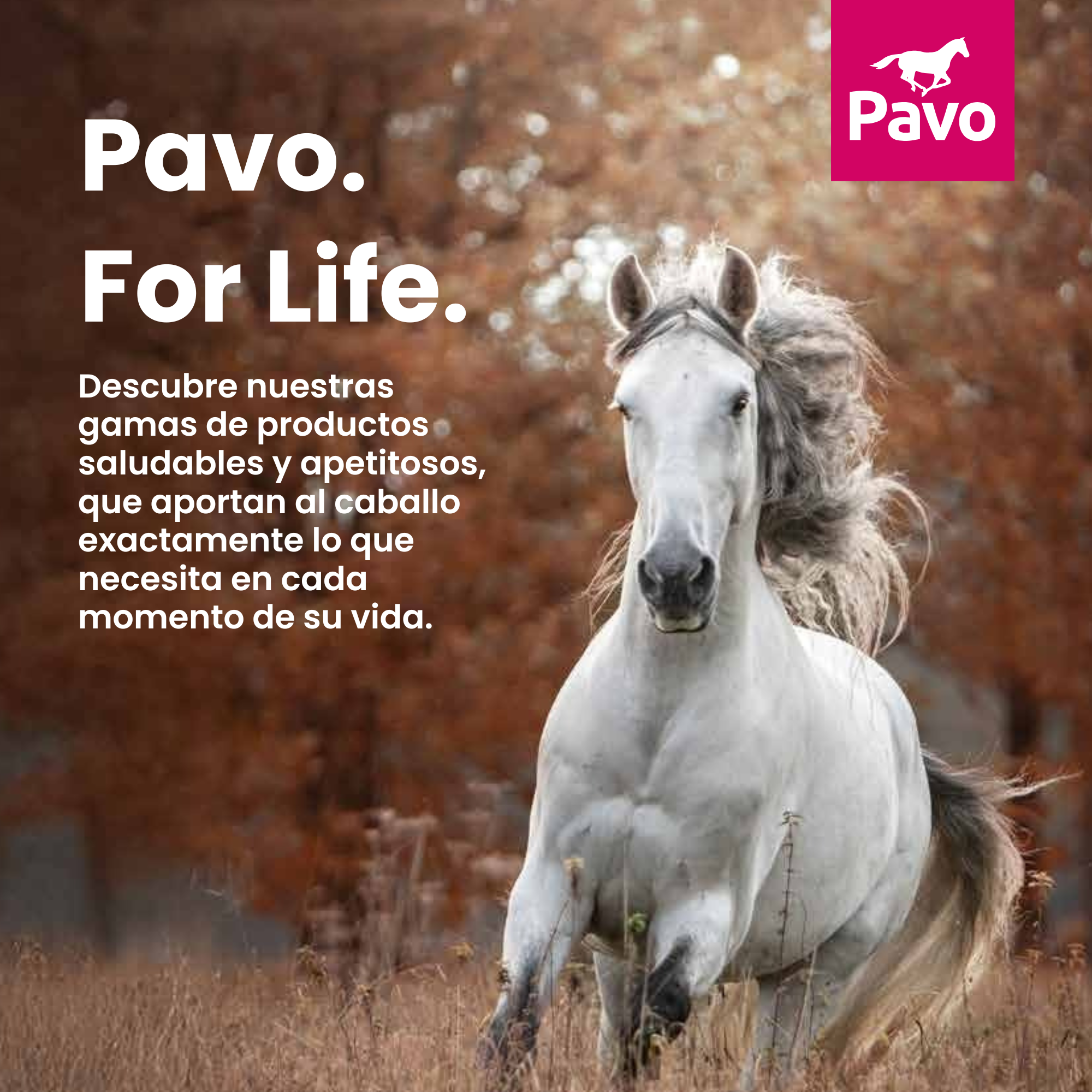 Pavo Mobility - 3 KG