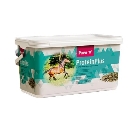 Pavo ProteinPlus - 7 KG
