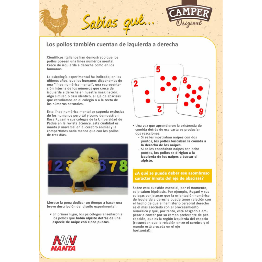 Camperbroiler - 25 KG