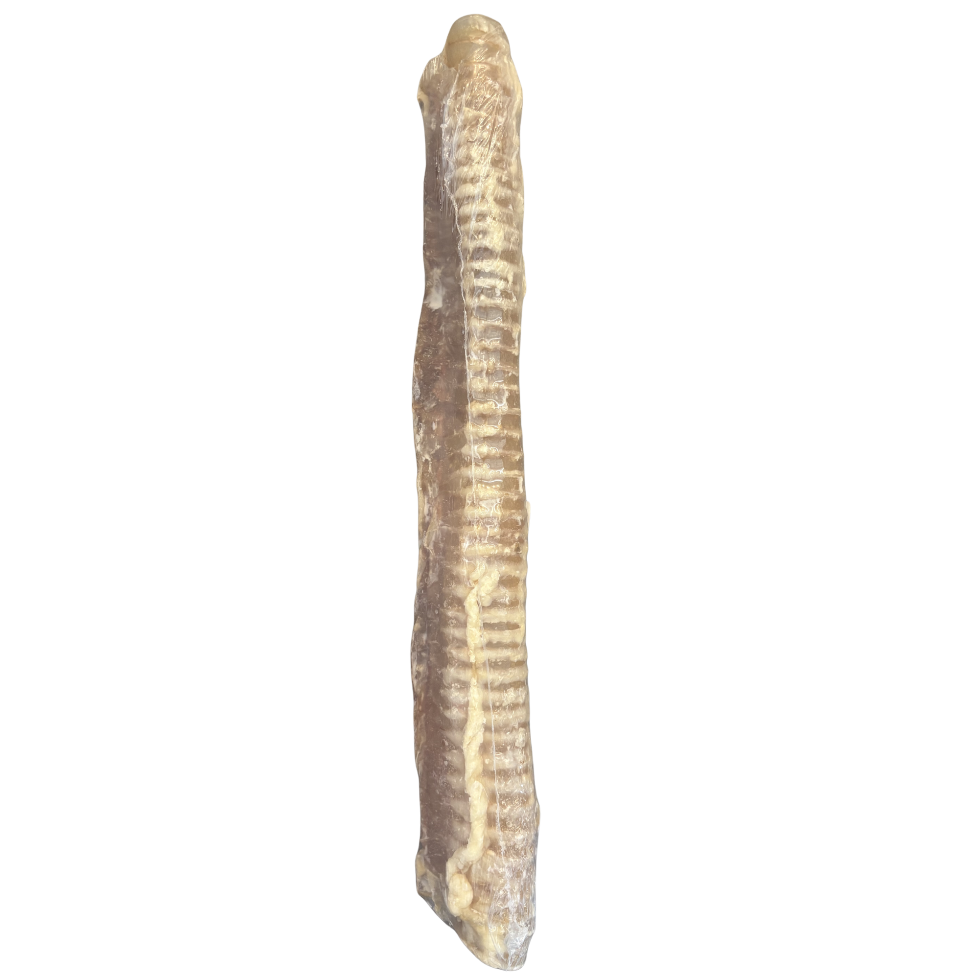Tráquea de Ternera Deshidratada — Snack Natural para Perros