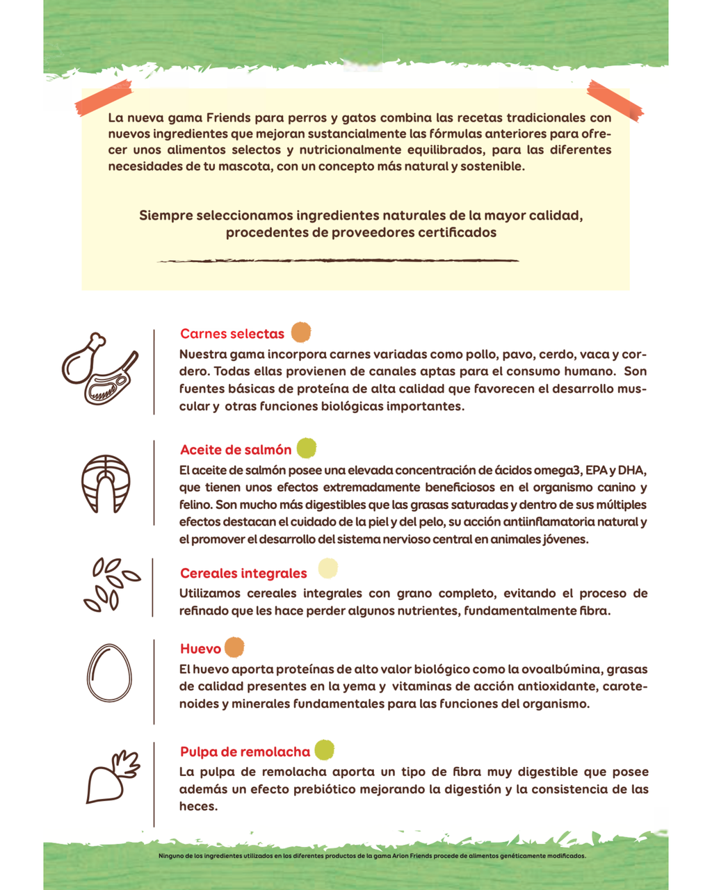 Arion Friends Junior - 3 KG