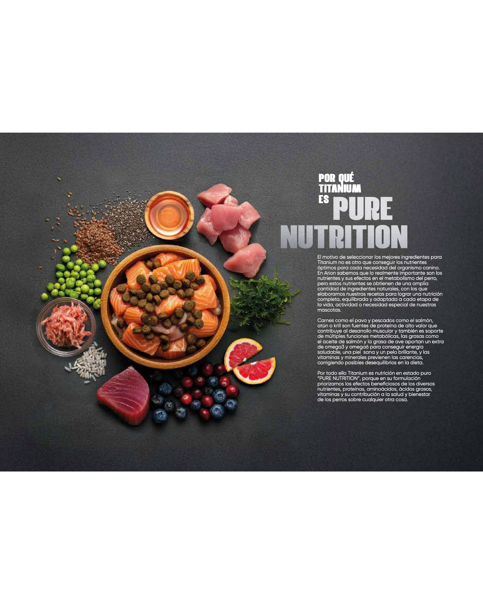 Arion Titanium Starter - 15 kg