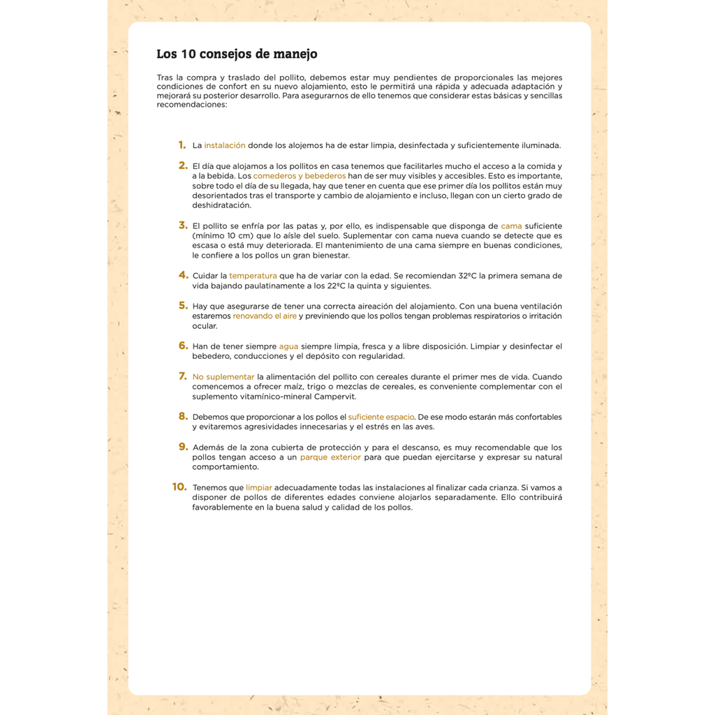 Camperbroiler - 25 KG