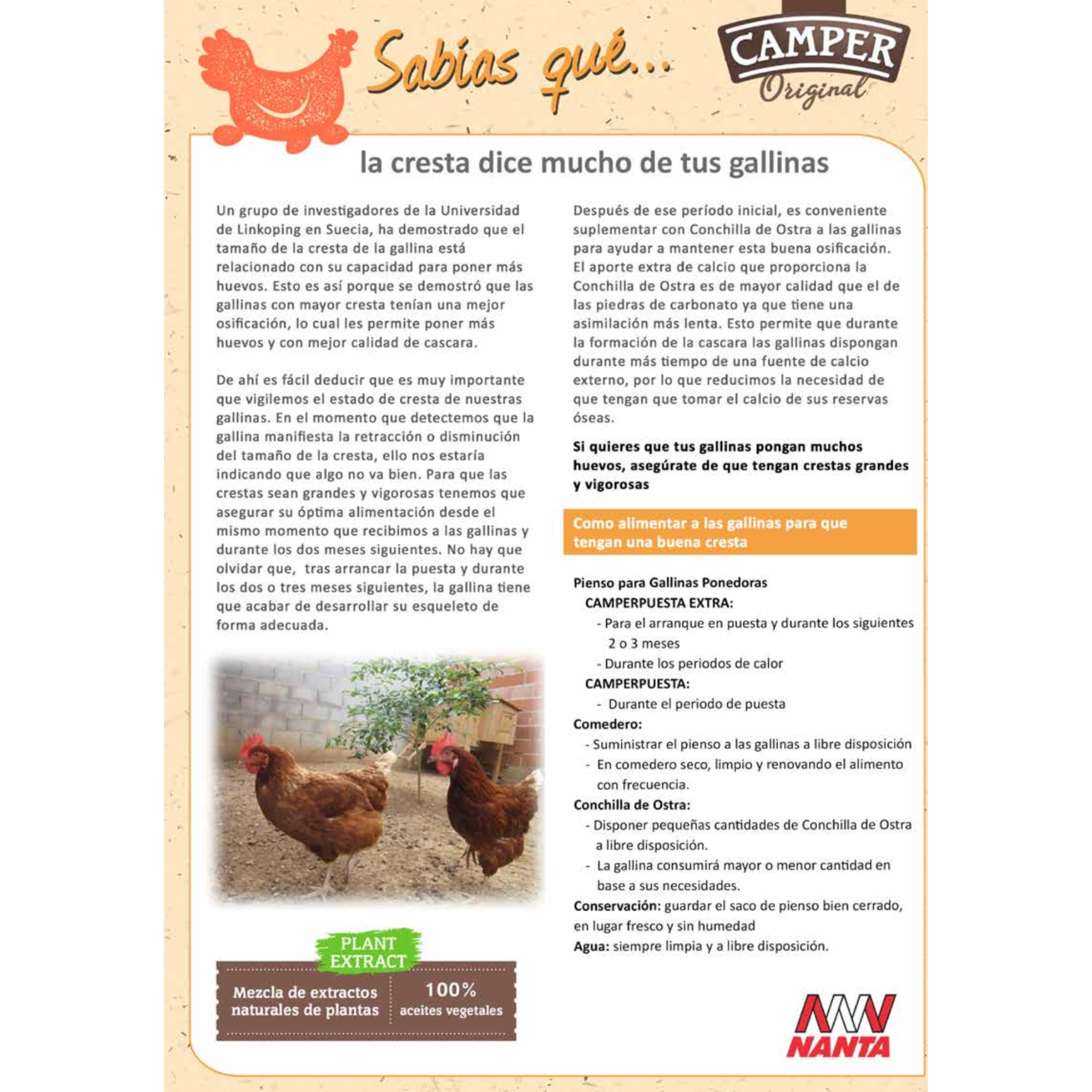 Camperpuesta Extra H - 25 KG