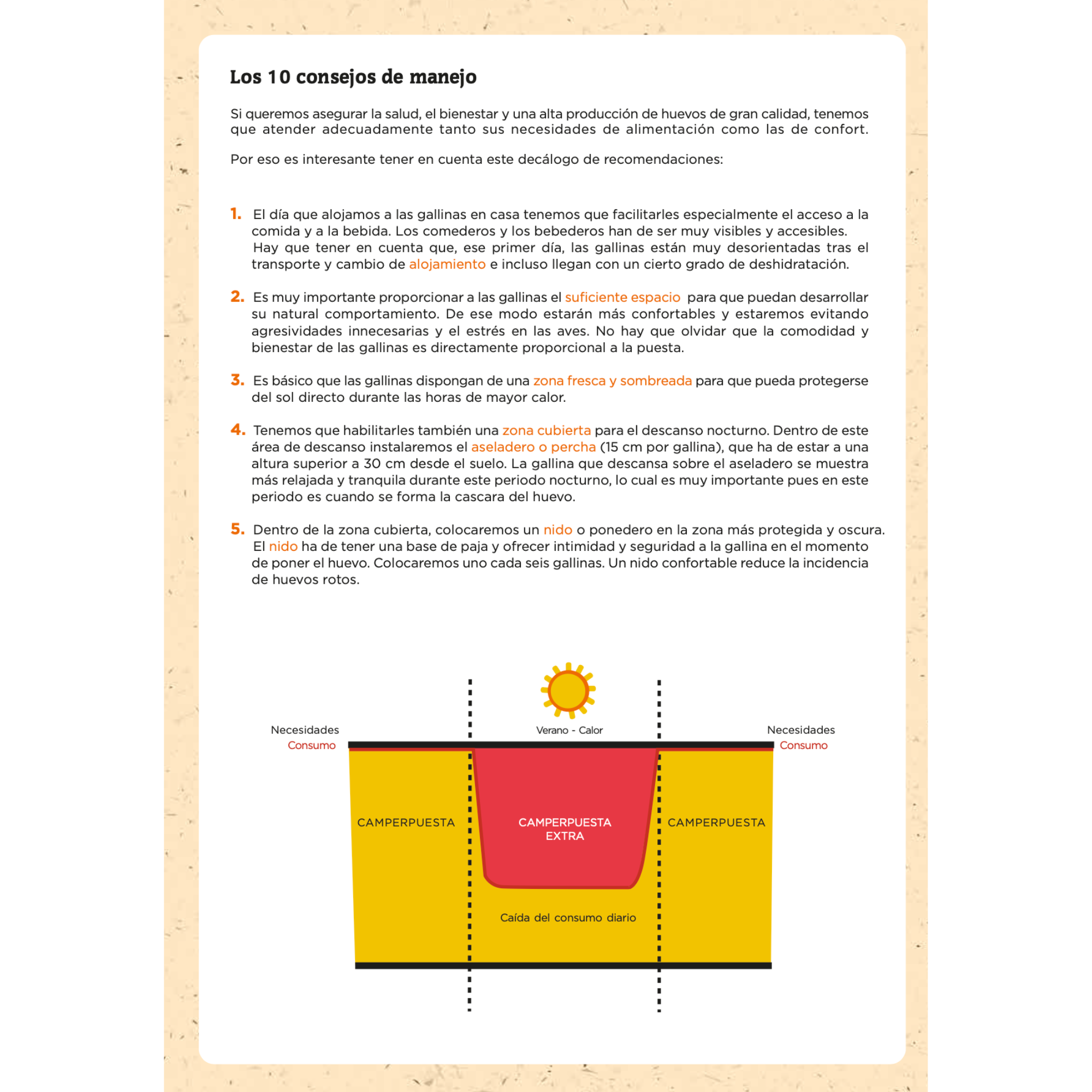 Camperpuesta - 25 KG