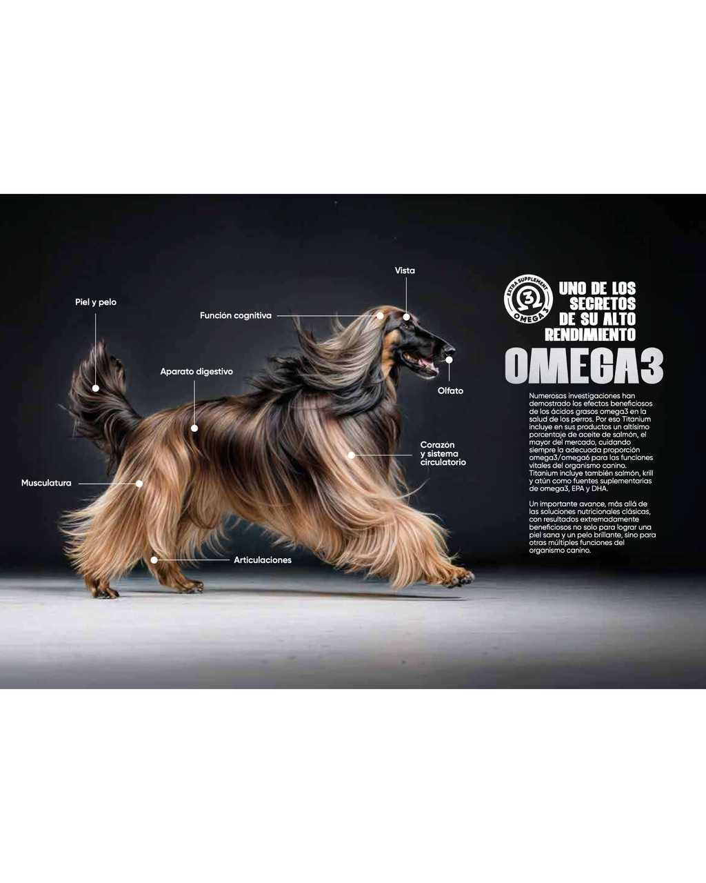 Arion Titanium Growth - 2 KG