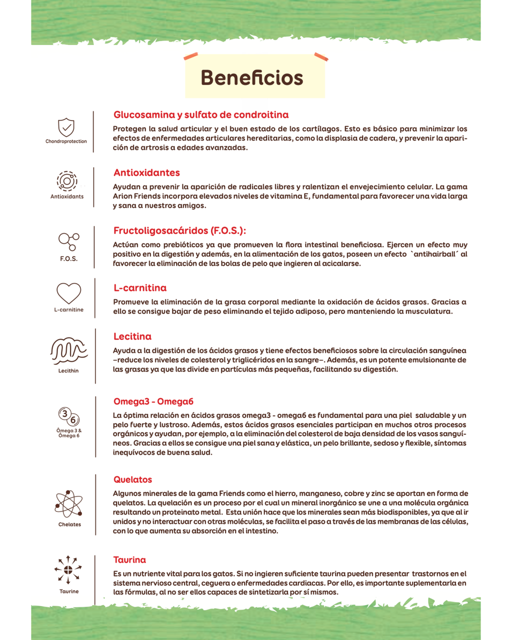 Arion Friends Vital Salmón - 14 KG