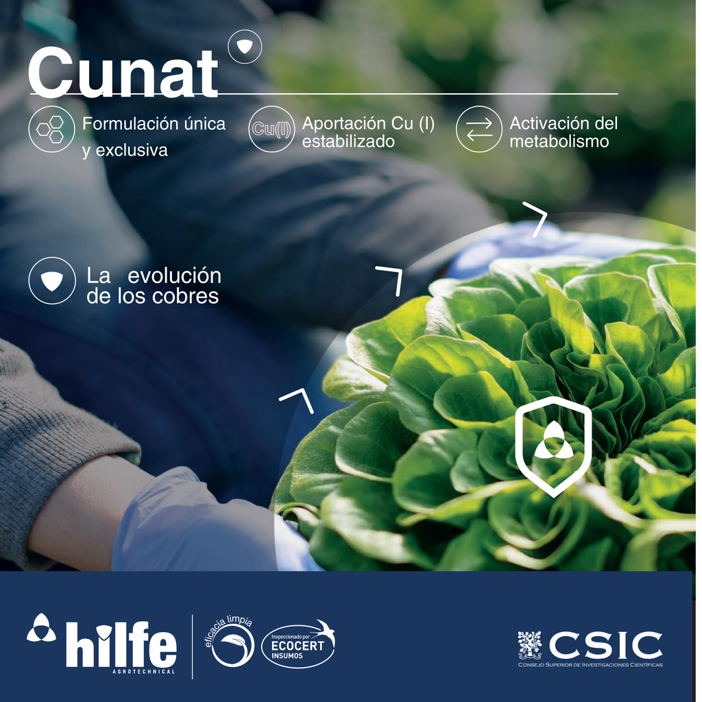 CUNAT® | Cobre (Cu I) Estabilizado
