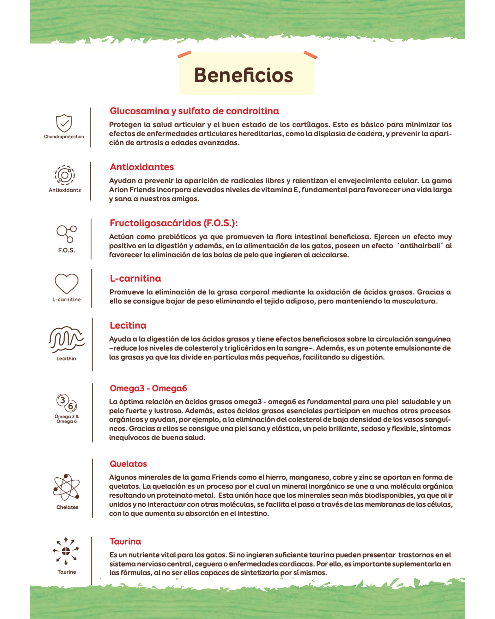 Arion Friends Bravo - 14 KG