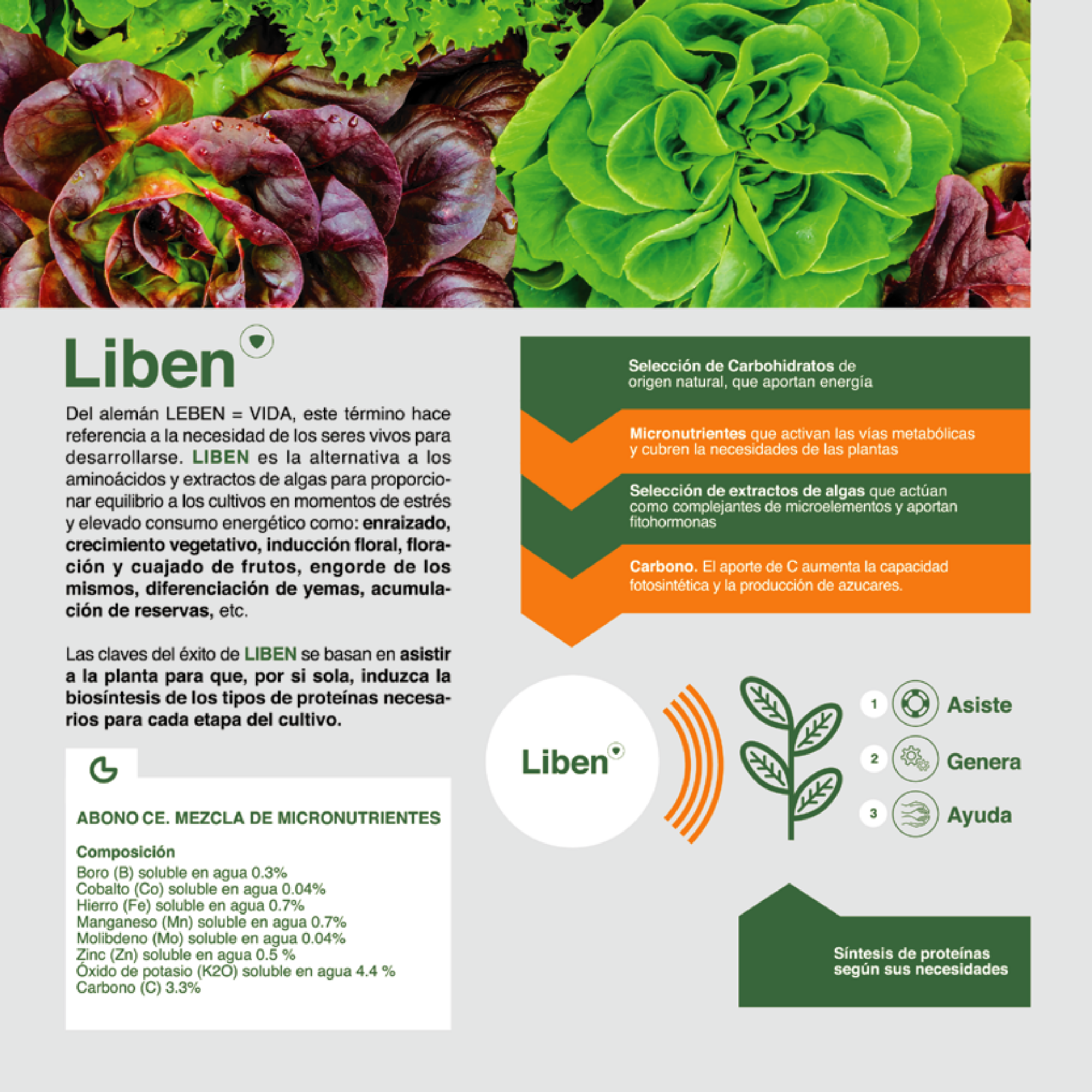 LIBEN® – Bioestimulante Tecnológico de Inducción Proteica