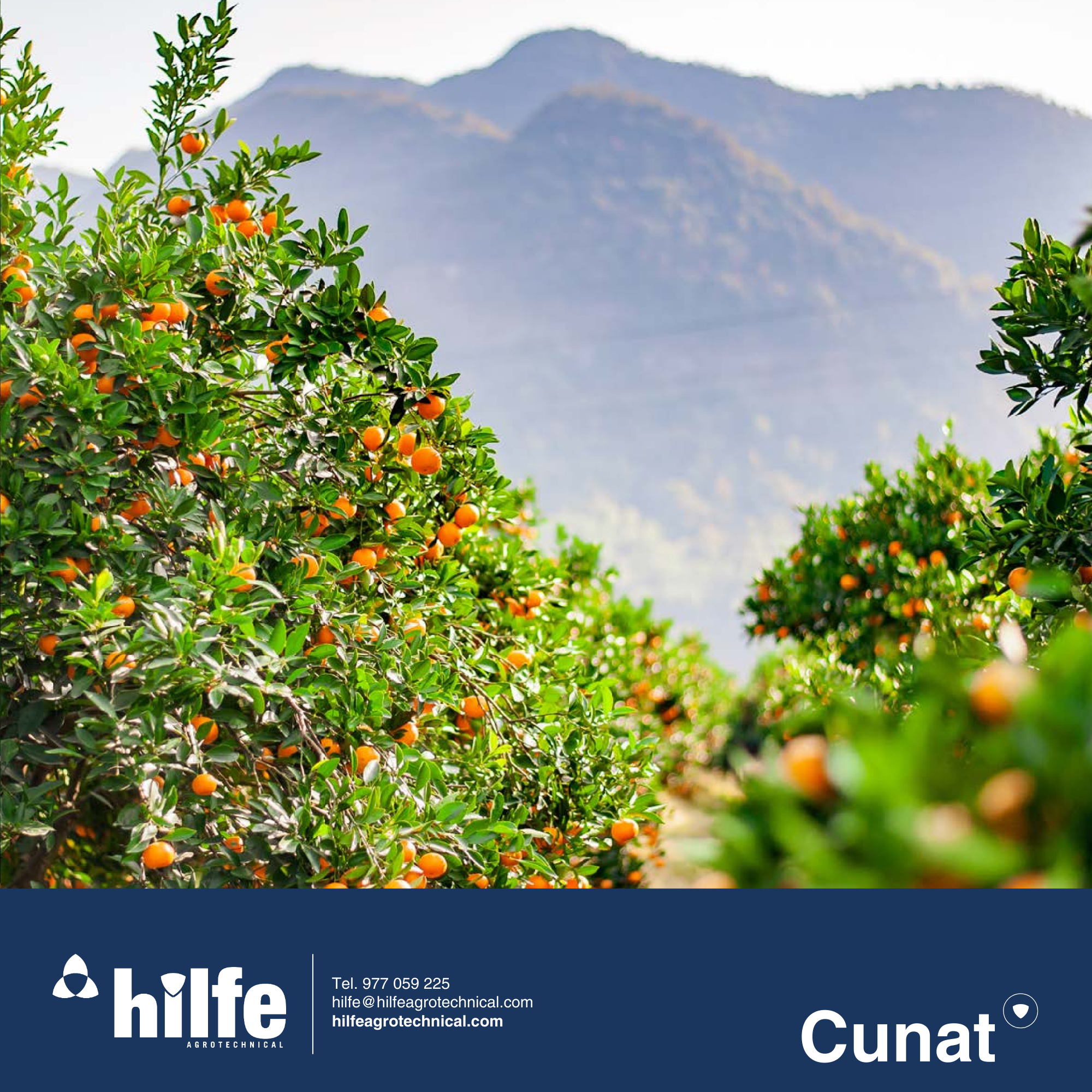 CUNAT® | Cobre (Cu I) Estabilizado