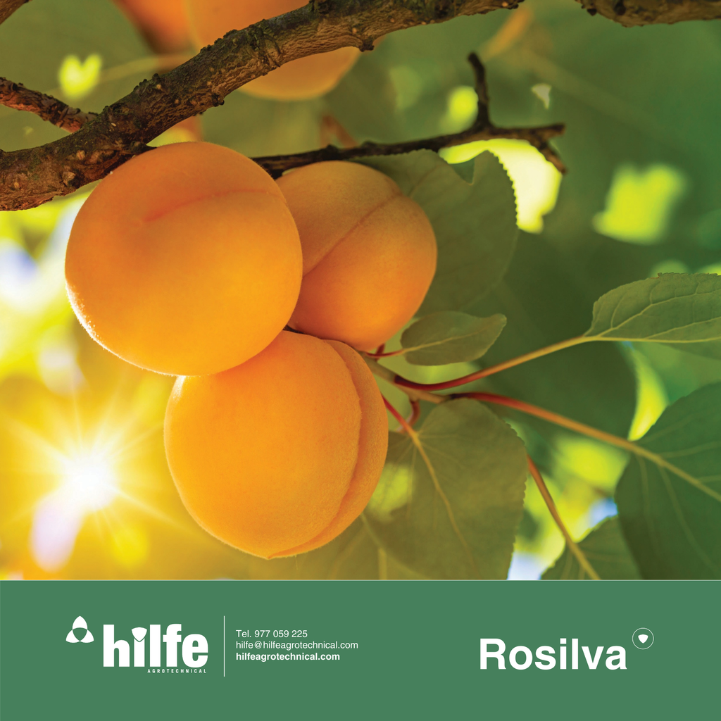 ROSILVA micro® 5 KG | Corrector Micronizado de Carencias