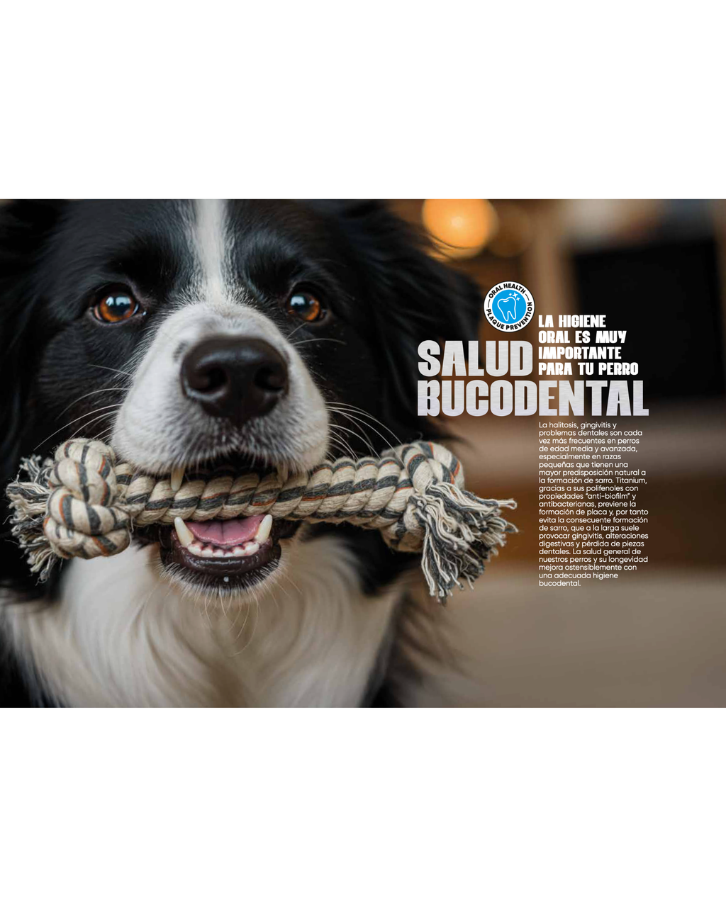 Arion Titanium Pro - 15 KG