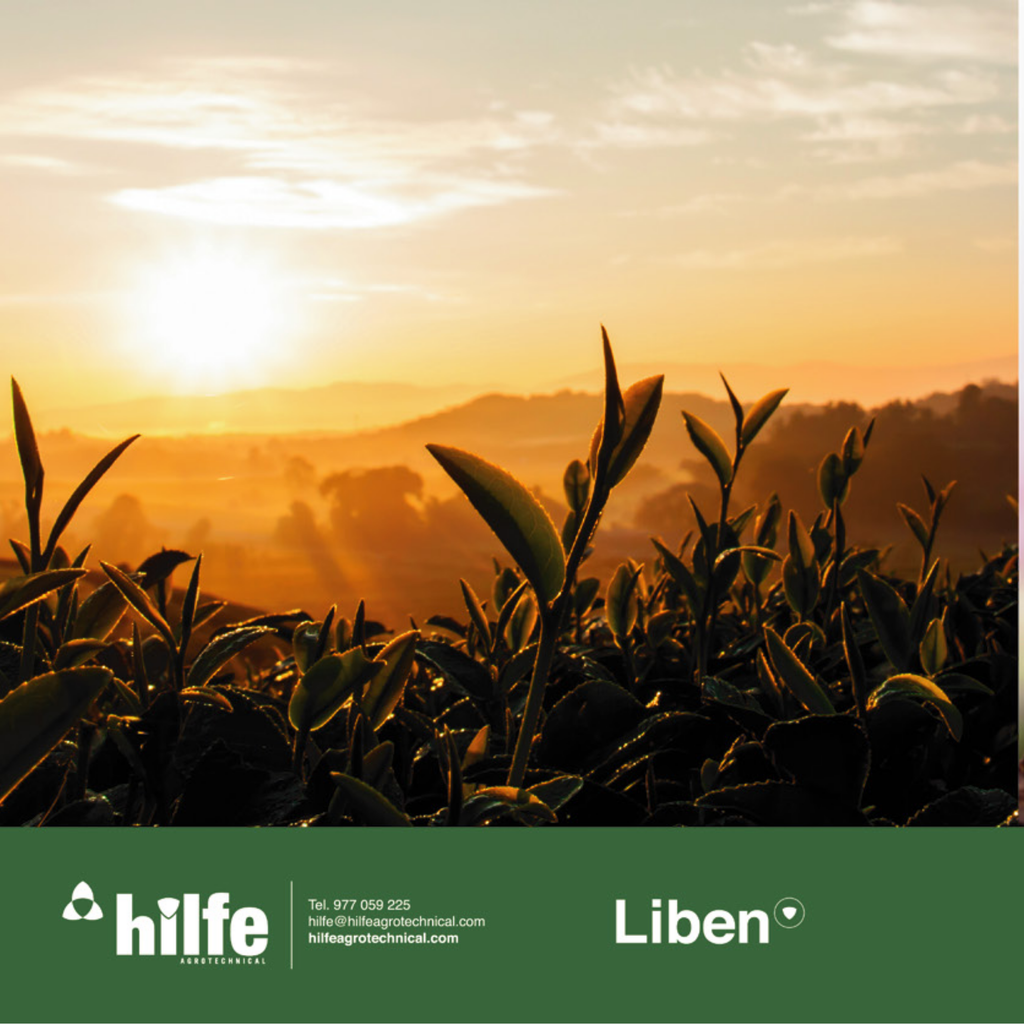 LIBEN® – Bioestimulante Tecnológico de Inducción Proteica