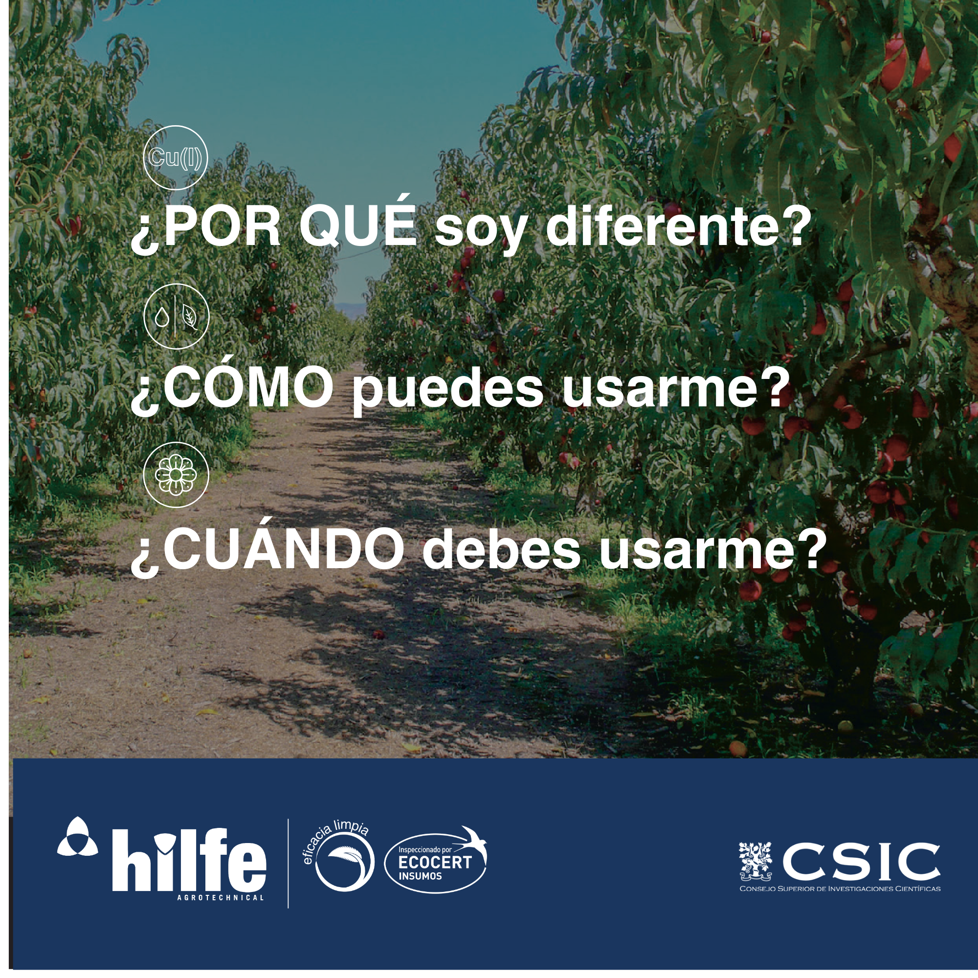 CUNAT® | Cobre (Cu I) Estabilizado