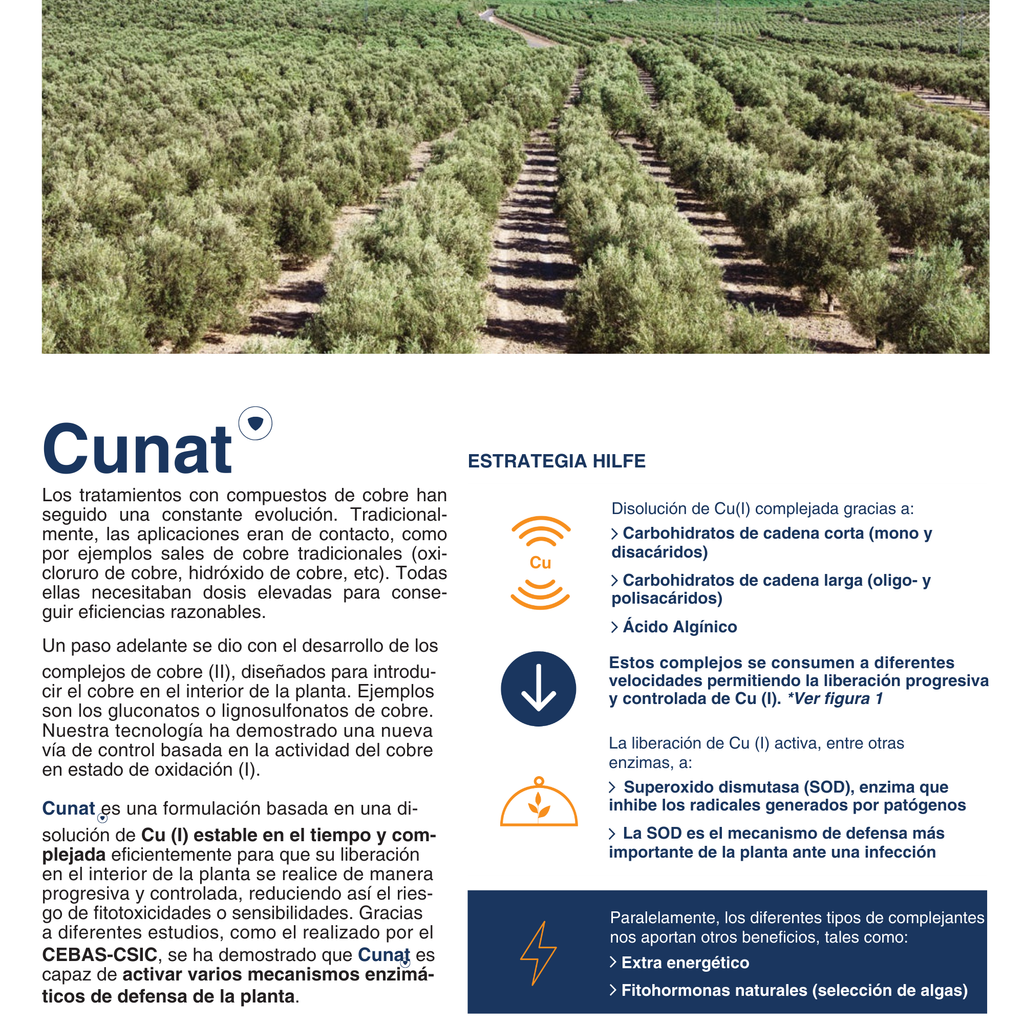 CUNAT® | Cobre (Cu I) Estabilizado