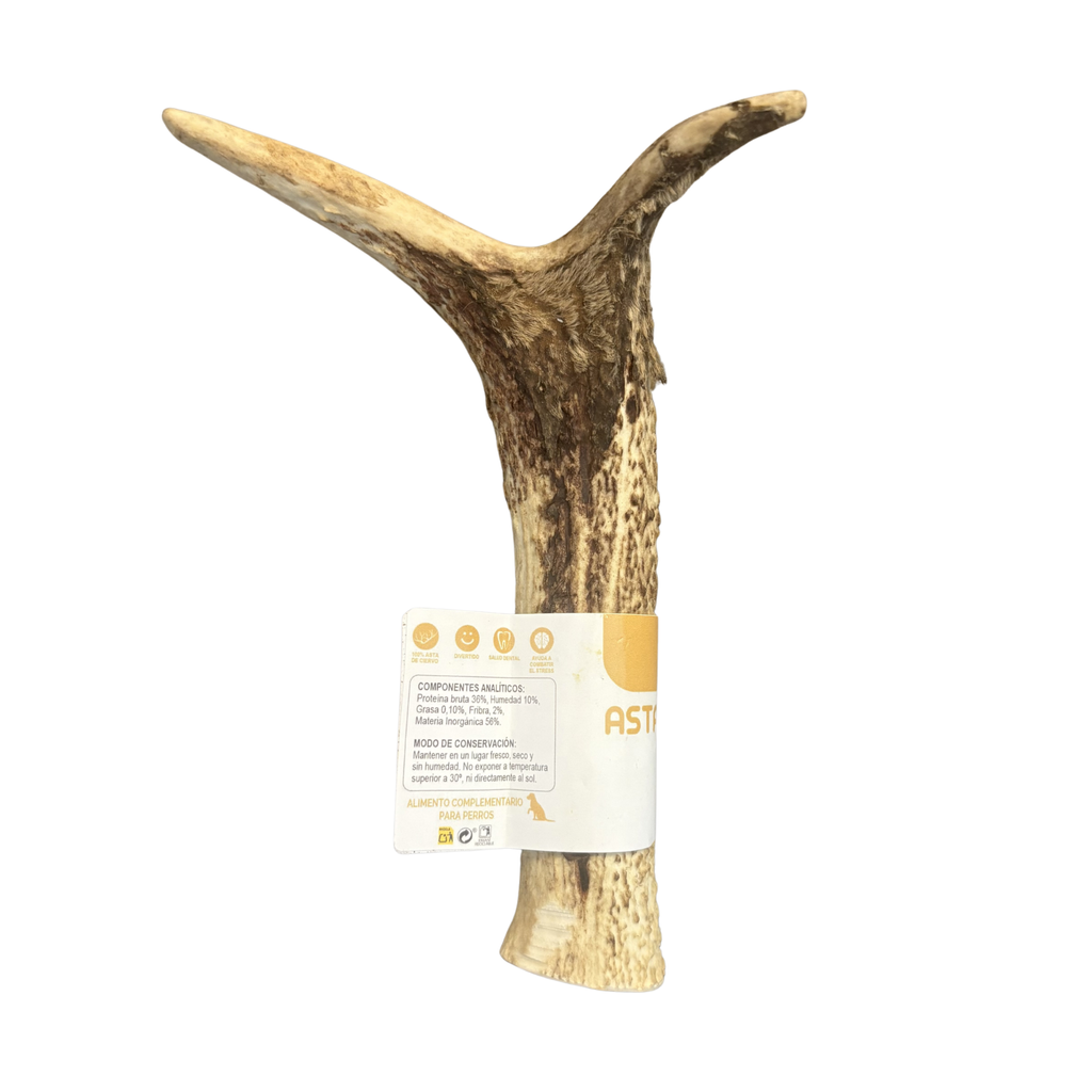 Asta de Ciervo Talla M — Mordedor Natural 100% Sostenible para Perros