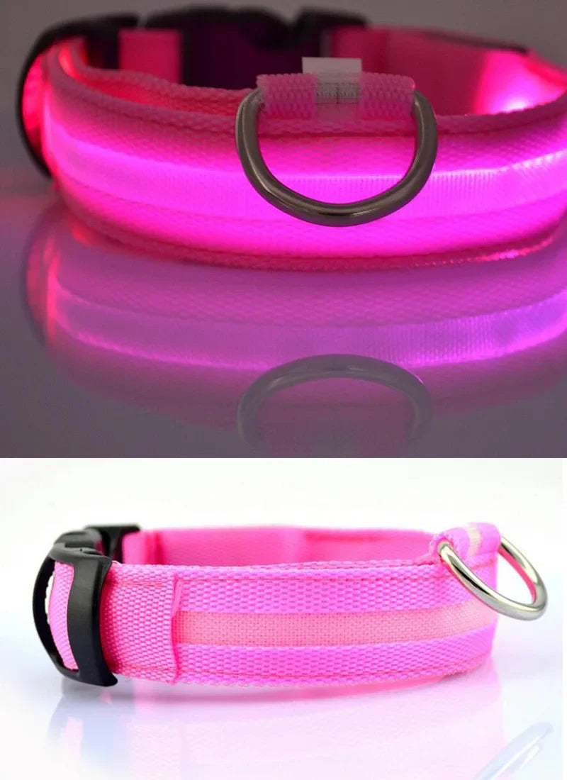 Collar Luminoso | NightGlow™ LED Safety