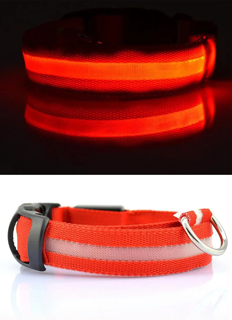 Collar Luminoso | NightGlow™ LED Safety