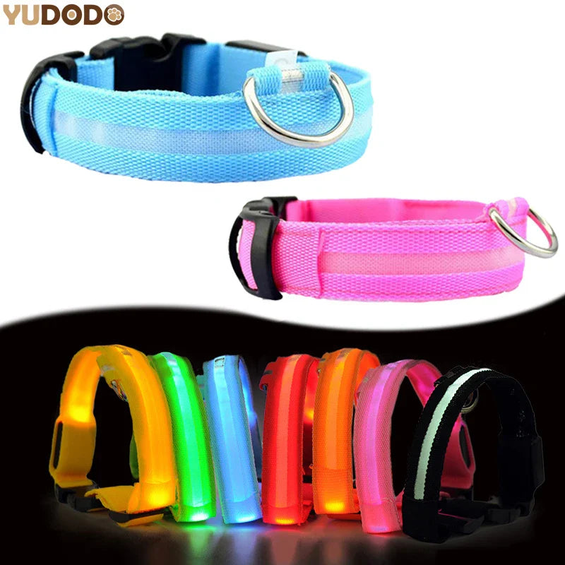 Collar Luminoso | NightGlow™ LED Safety
