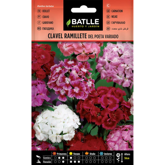 Semillas | Clavel ramillete del poeta variado - Batlle