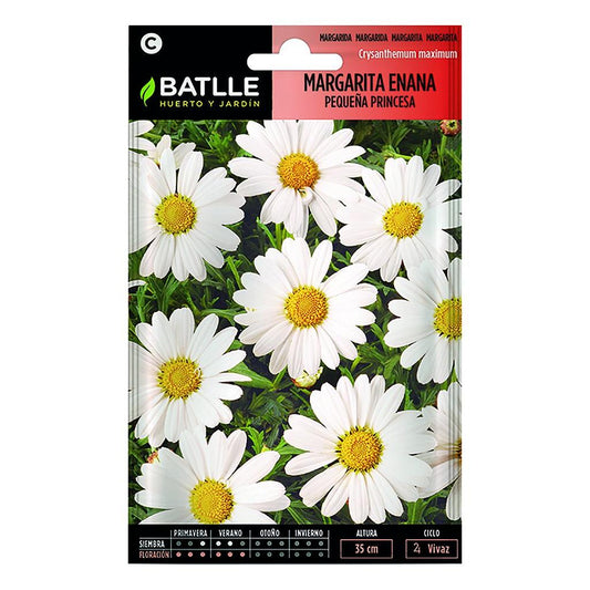 Semillas | Margarita enana pequeña princesa - Batlle